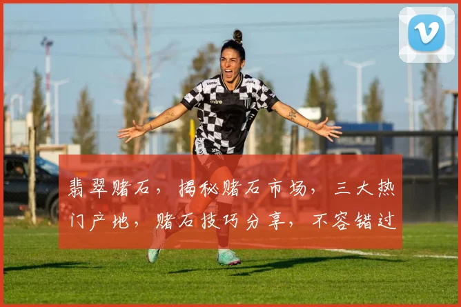 翡翠赌石，揭秘赌石市场，三大热门产地，赌石技巧分享，不容错过